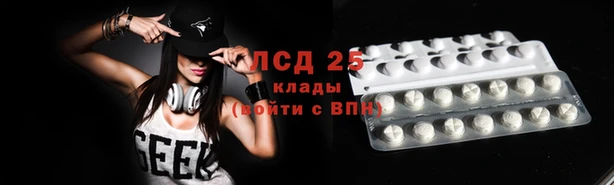spice Беломорск