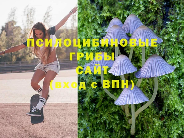 spice Беломорск