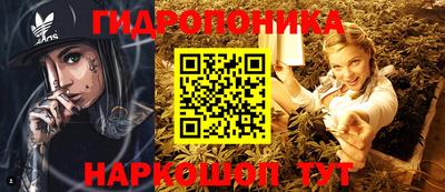 гидропоника Заводоуковск