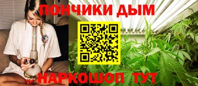 гидропоника Заводоуковск