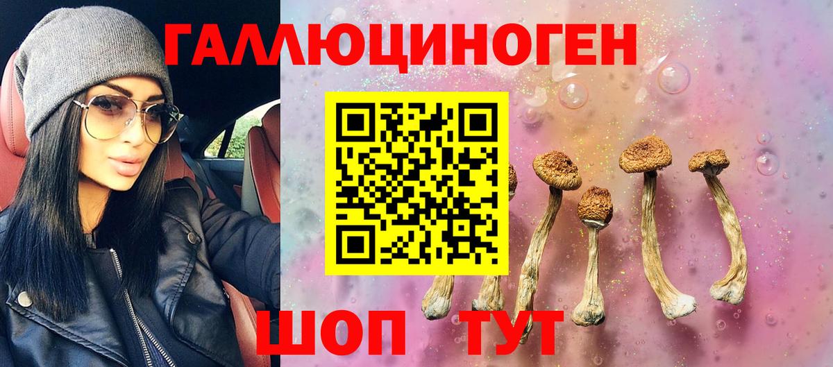 Великие Луки  Псилоцибиновые грибы ЛСД  Вход с VPN 