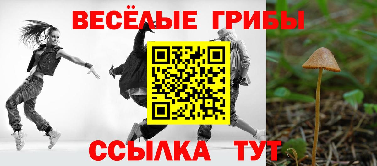 Псилоцибиновые грибы Cubensis Великие Луки